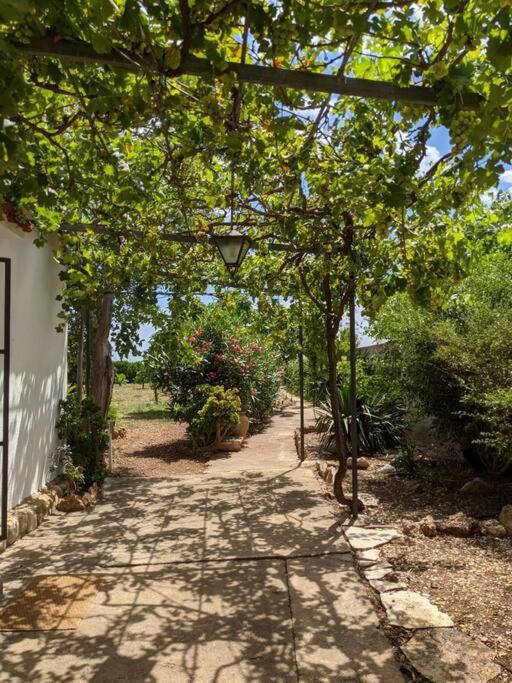 Casa Rural Frente Al Mar La Toscana Les Cases d'Alcanar Exterior foto